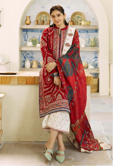 Kashmir Kali - Embroidered Lawn 3 Piece